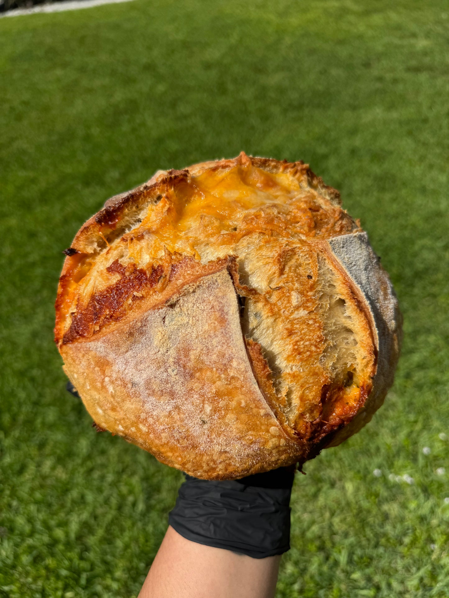 Organic Cheddar and Jalapeno Sourdough