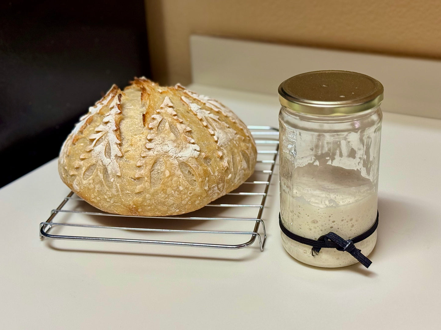 Organic Dehydrated Active Sourdough Starter