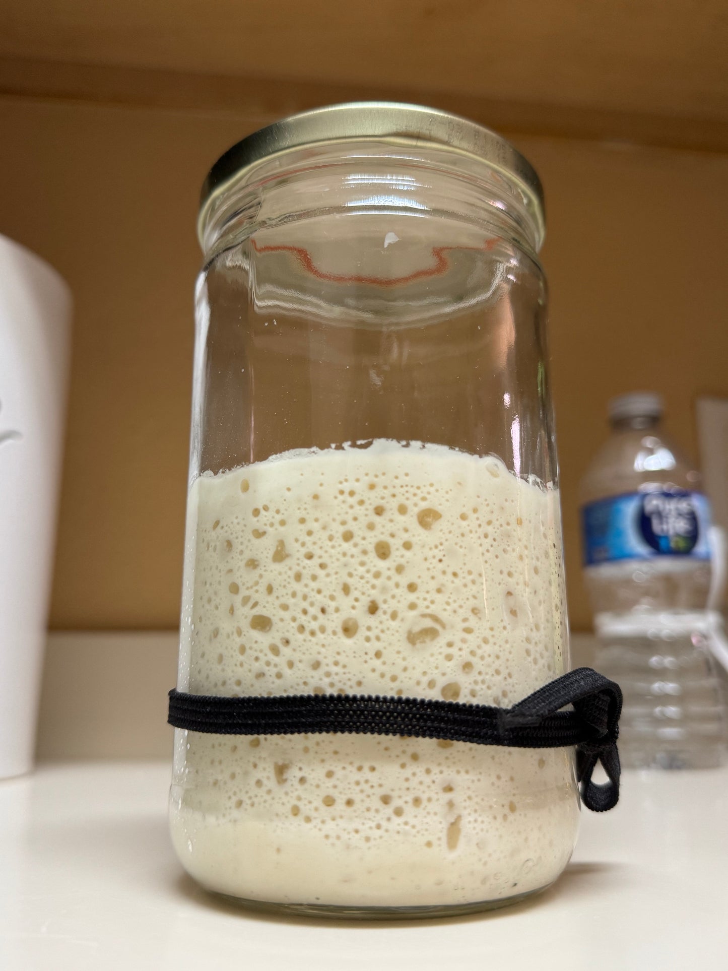 ACTIVE Organic Sourdough Starter