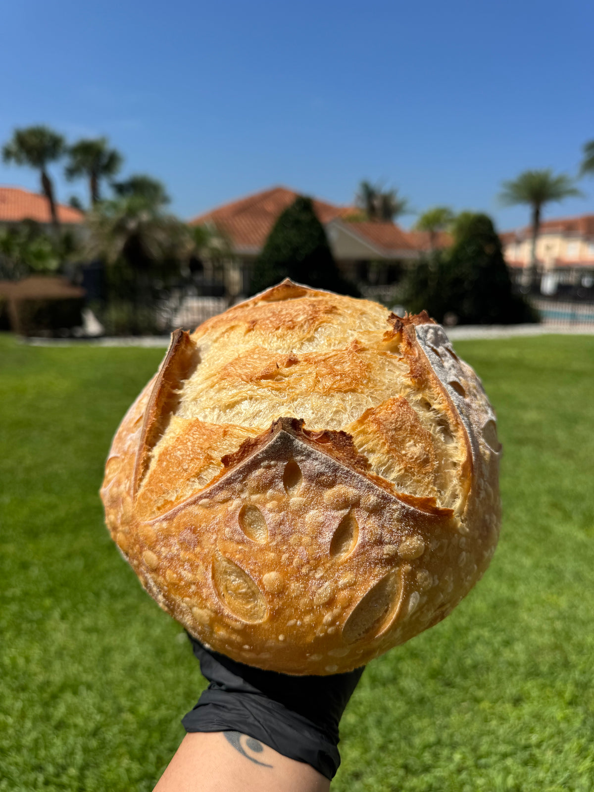Organic Sourdough Bread