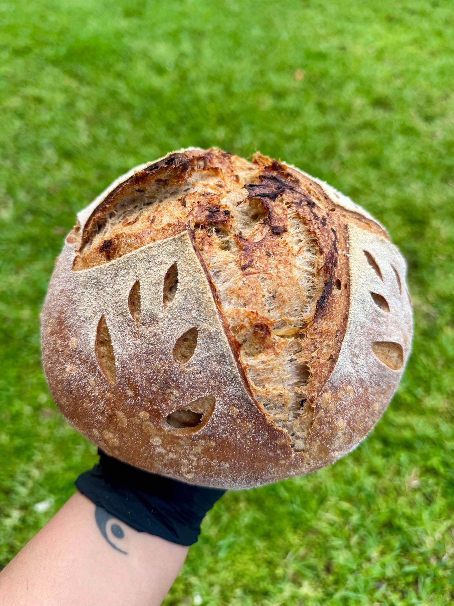 Organic Rosemary & Garlic Wholewheat Sourdough