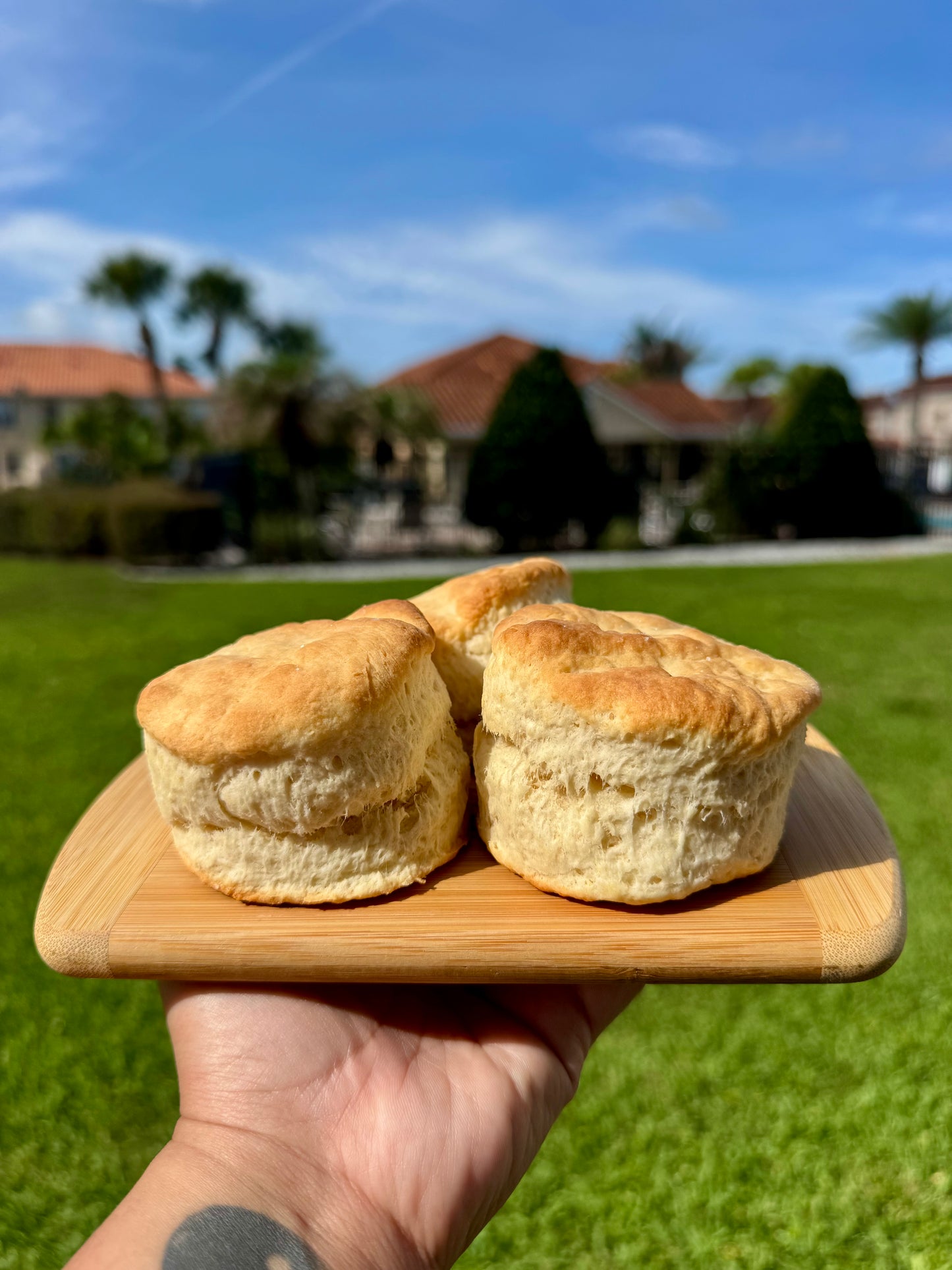 Organic Buttermilk Biscuits