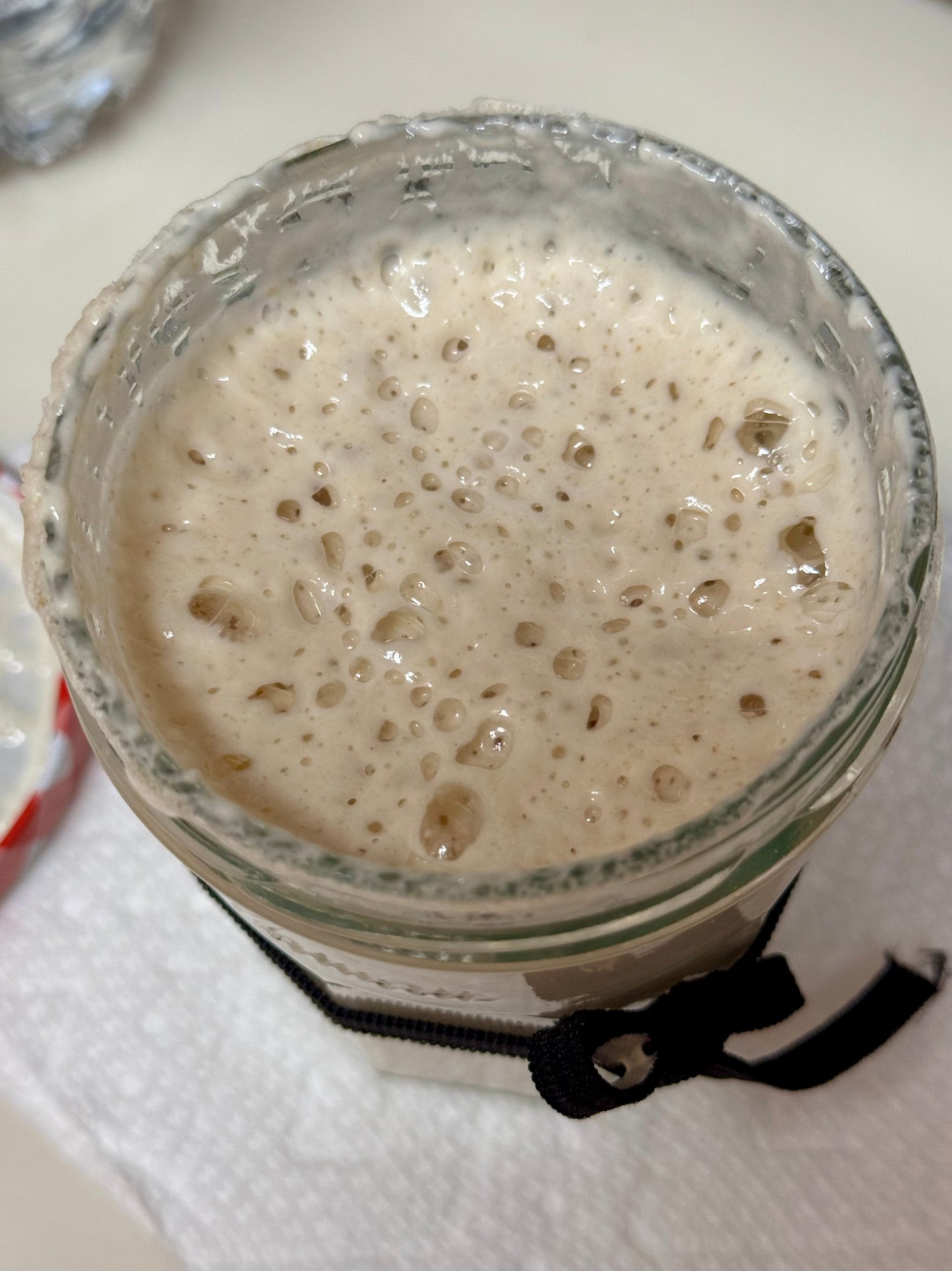 Organic Dehydrated Active Sourdough Starter