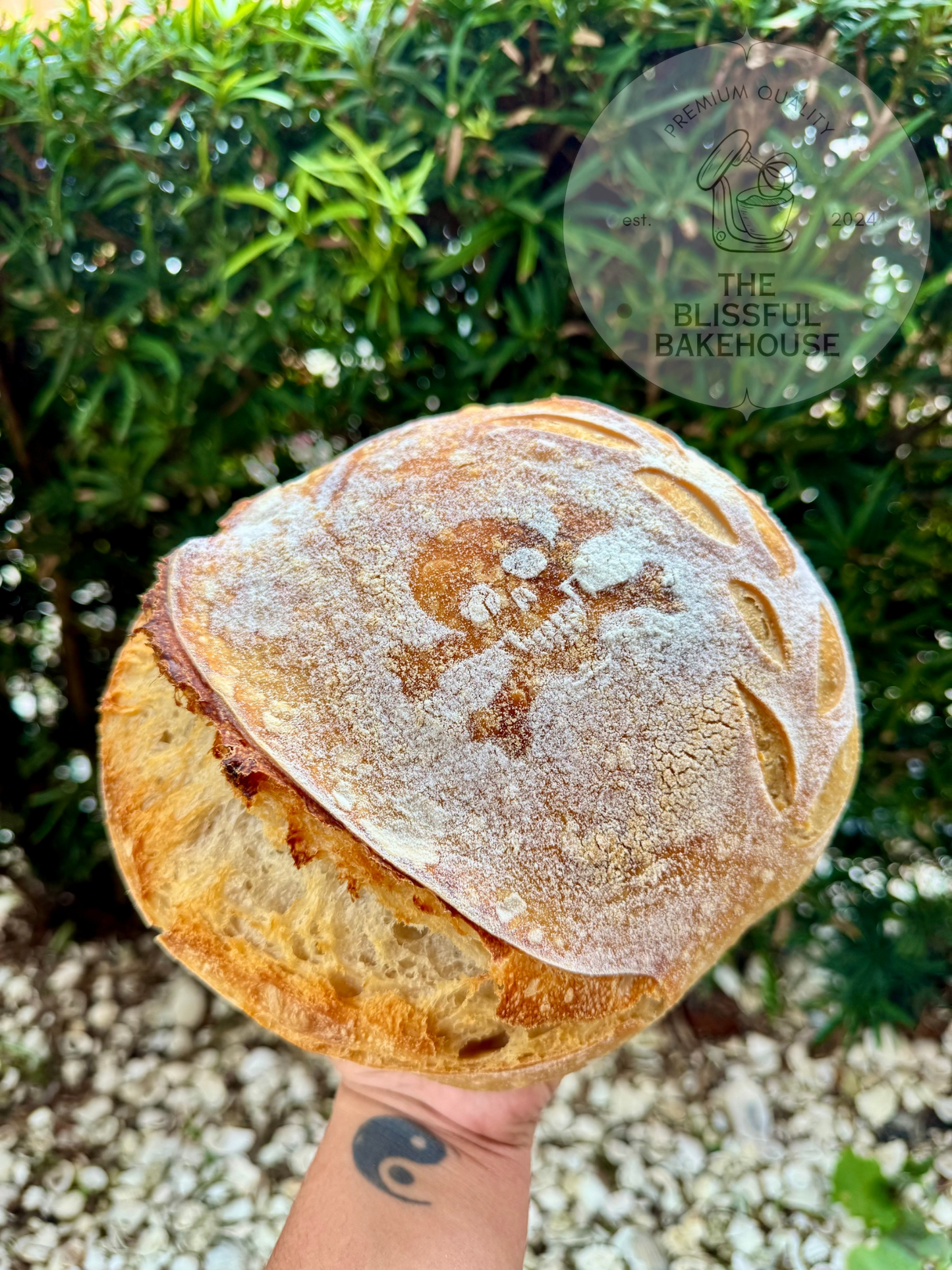 Organic Mini Sourdough