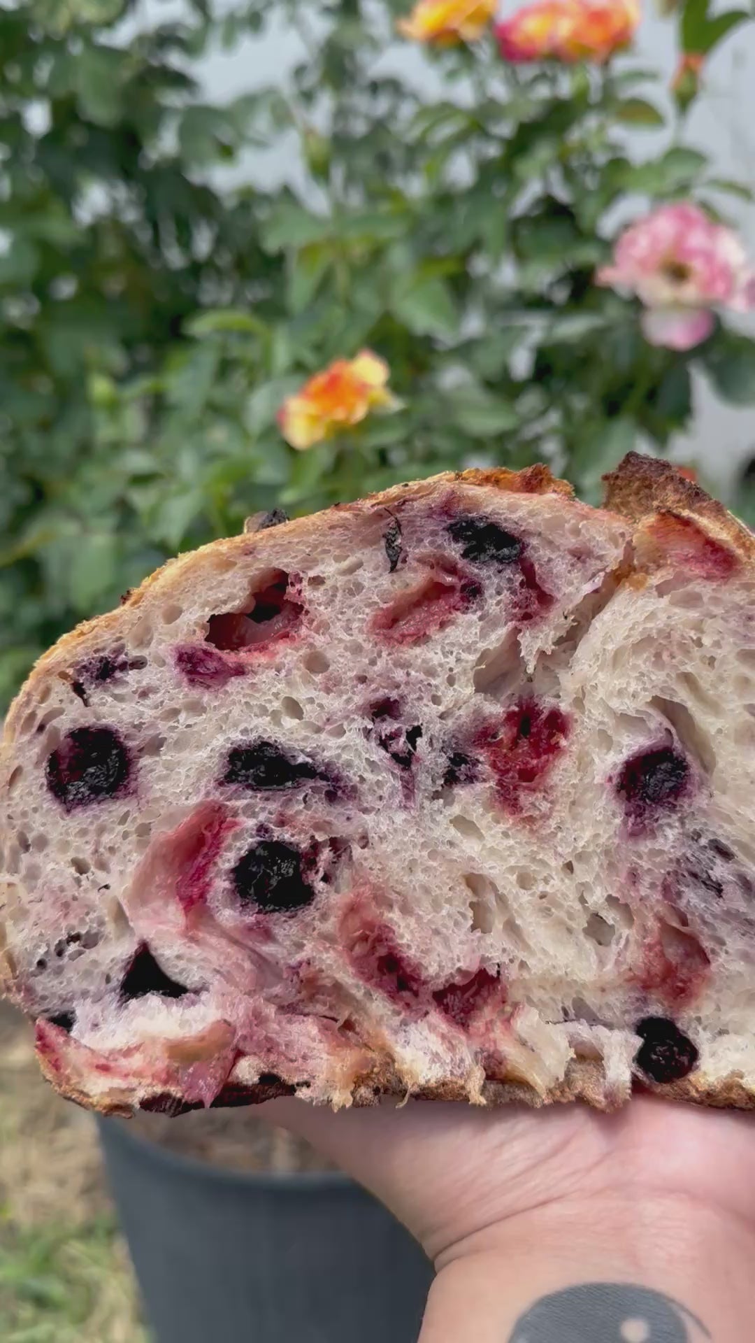 Organic blueberry strawberry sourdough